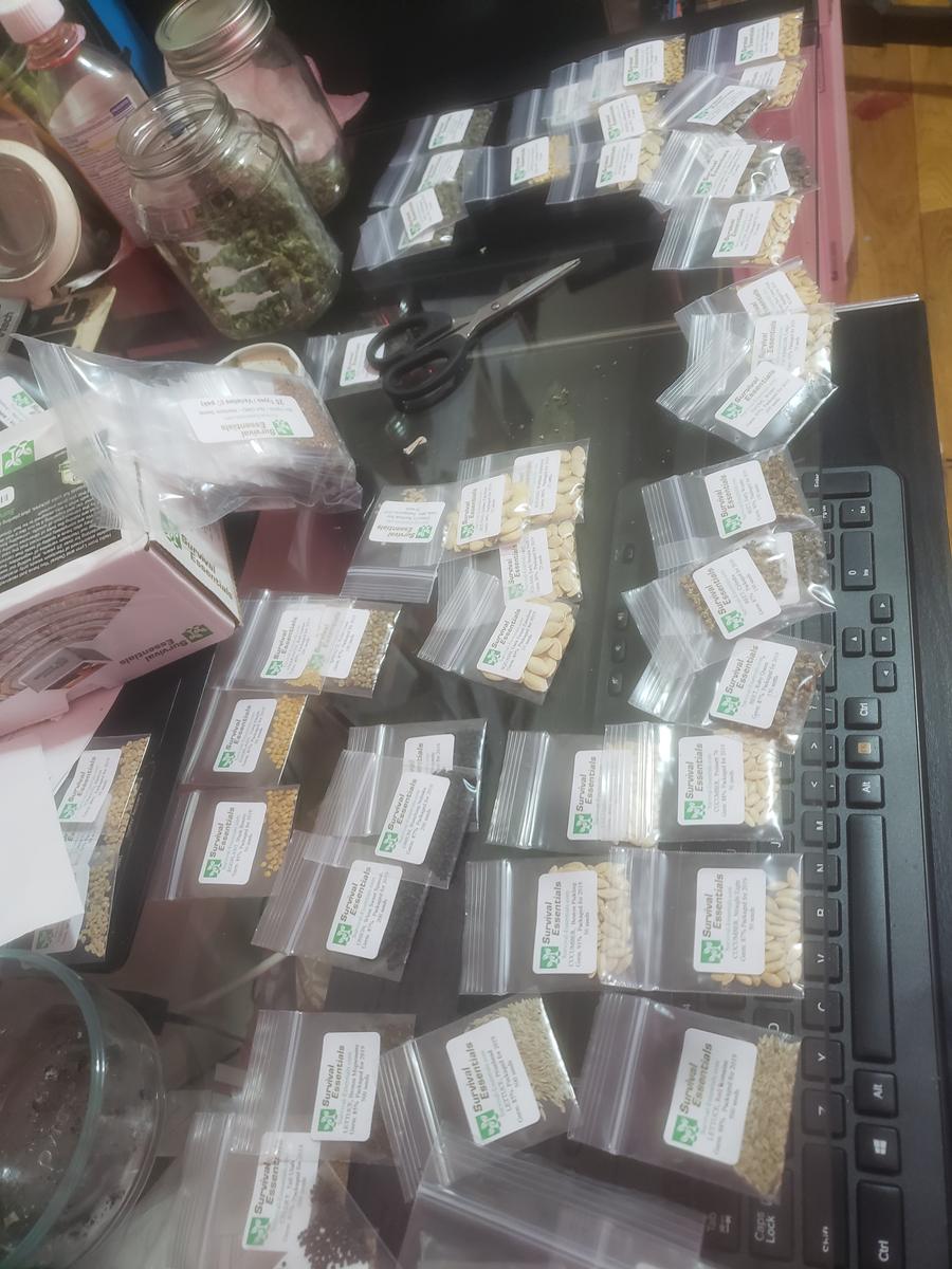 Close-up of a cutting rooting in clay-pebble growing medium